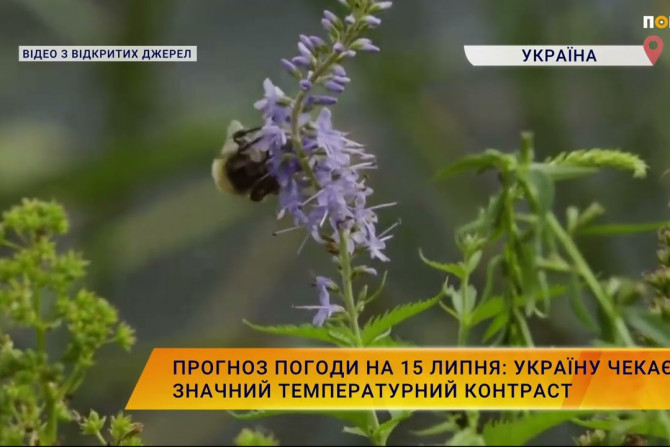 Новини України - 96c86ded-4b77-4cb0-ba0b-90fefe7b8b14 - зображення